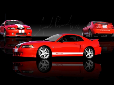 Mustang Photography