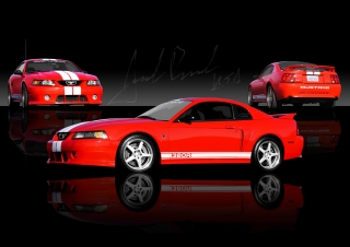 Mustang Photography